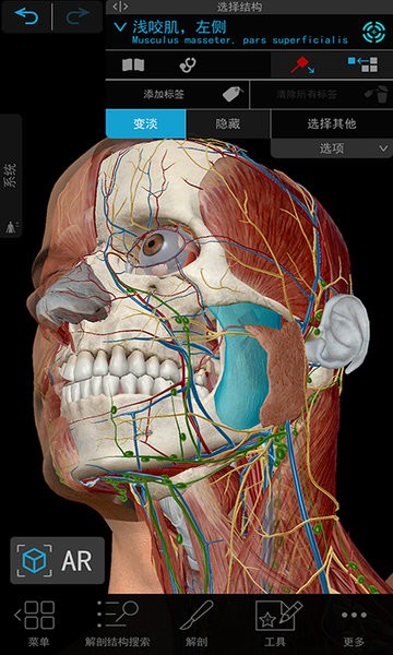 人体解剖3D教学软件下载
