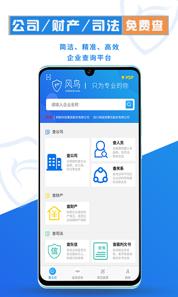 风鸟app下载