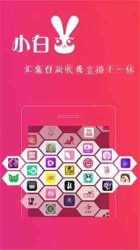 小白兔直播801tv