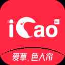 爱草直播icao