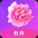 牡丹直播608tv
